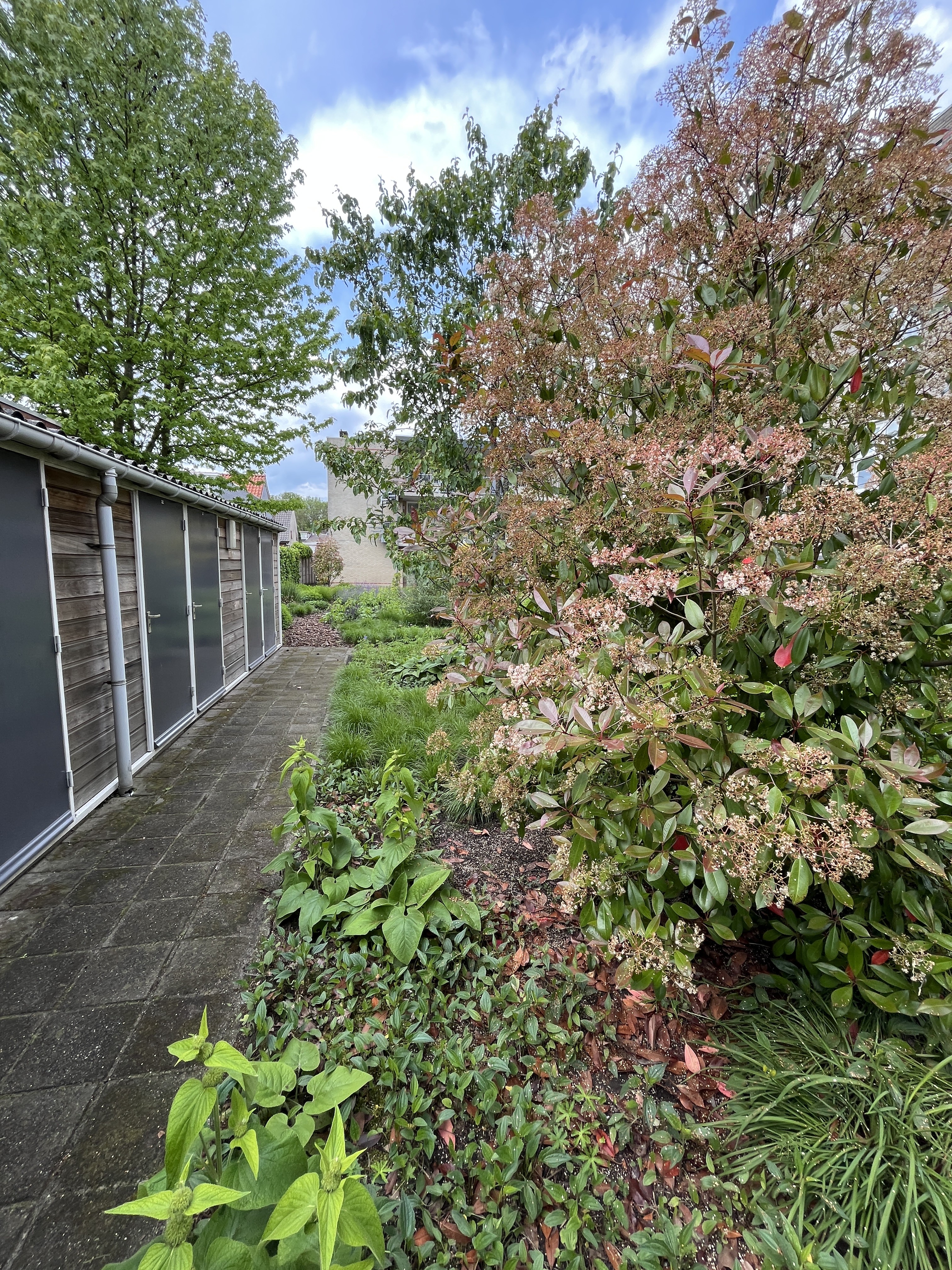 Lambert de Wijsstraat 3A