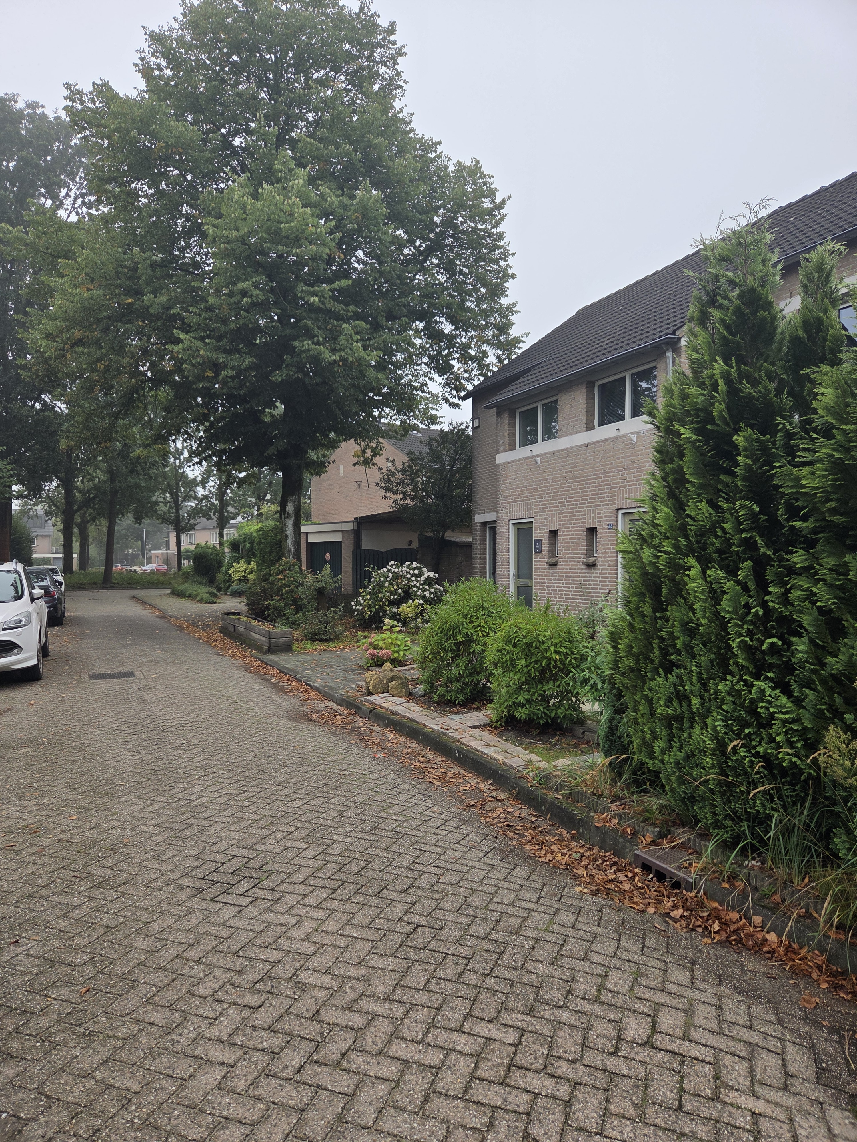 Prunusstraat 39