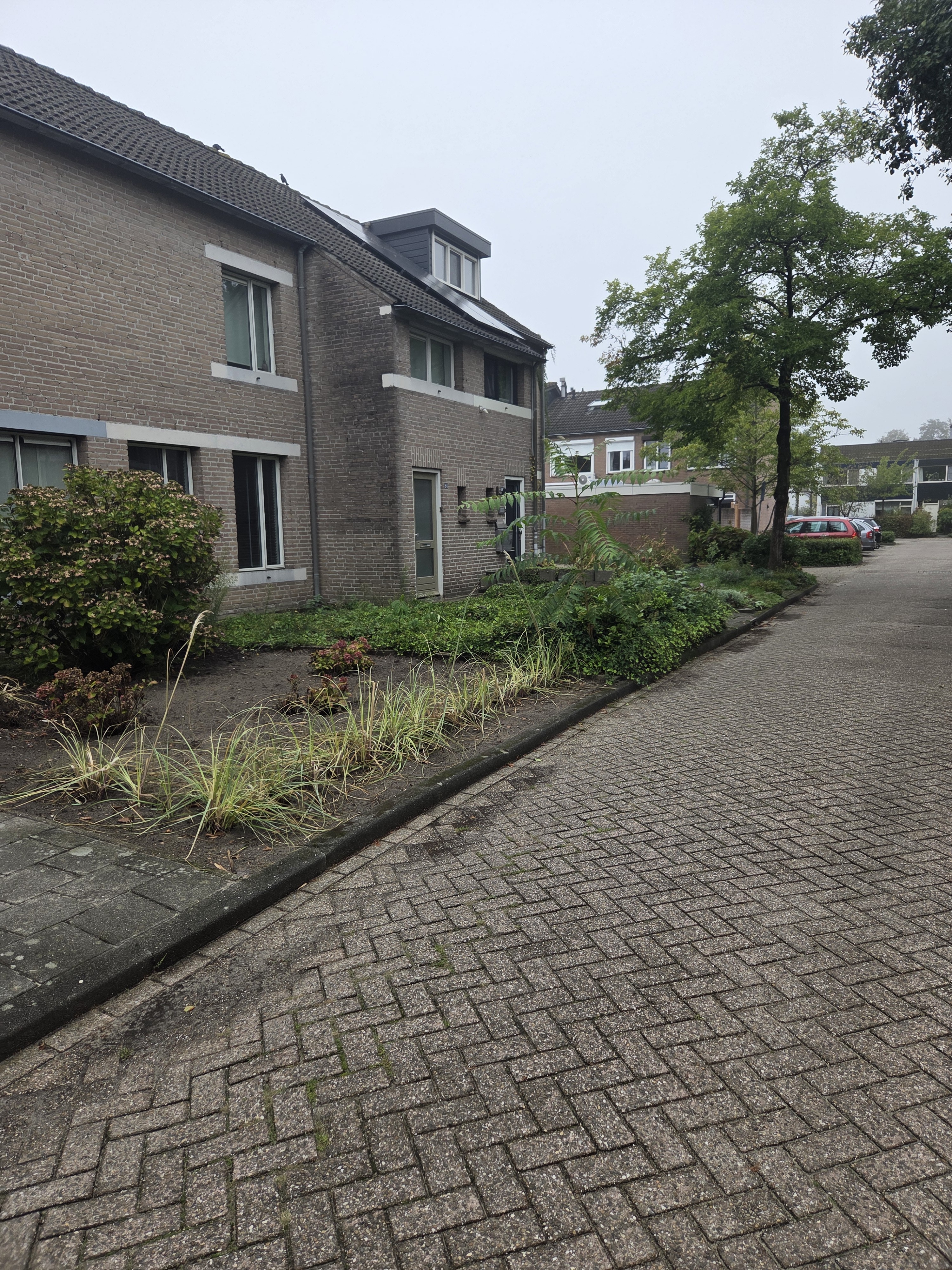 Prunusstraat 39