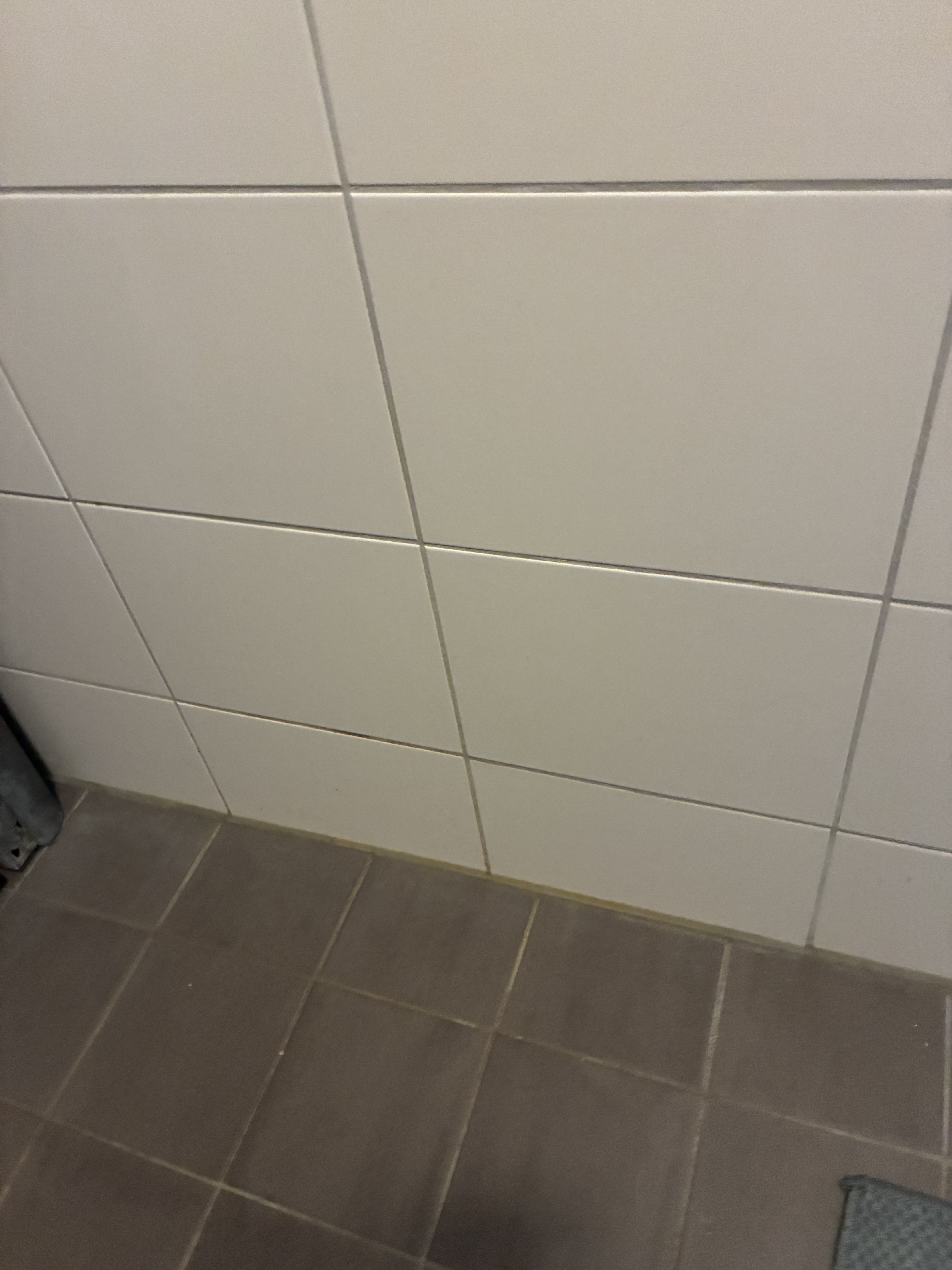 Groen van Prinstererstraat 2