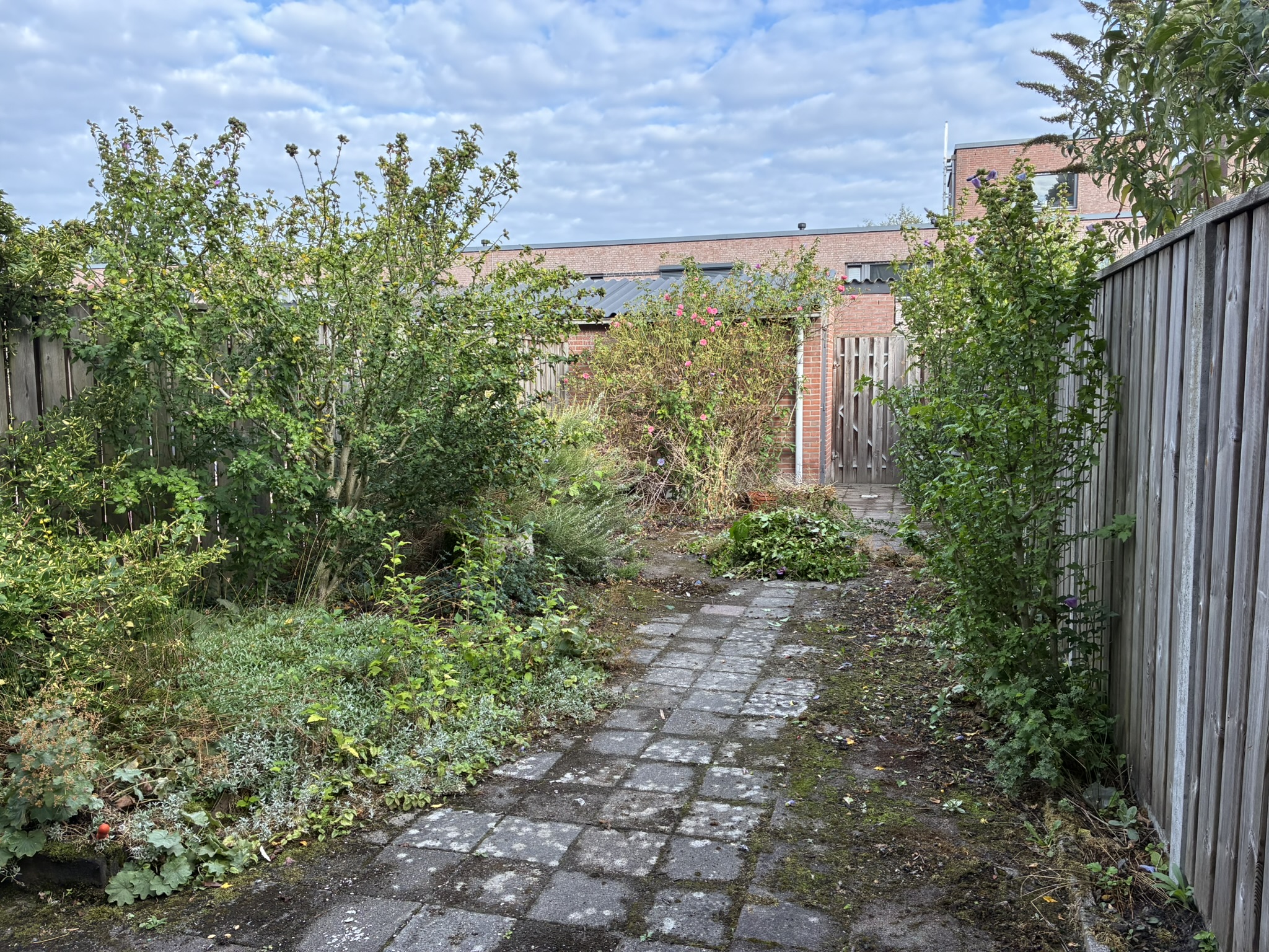 Lochemstraat 44
