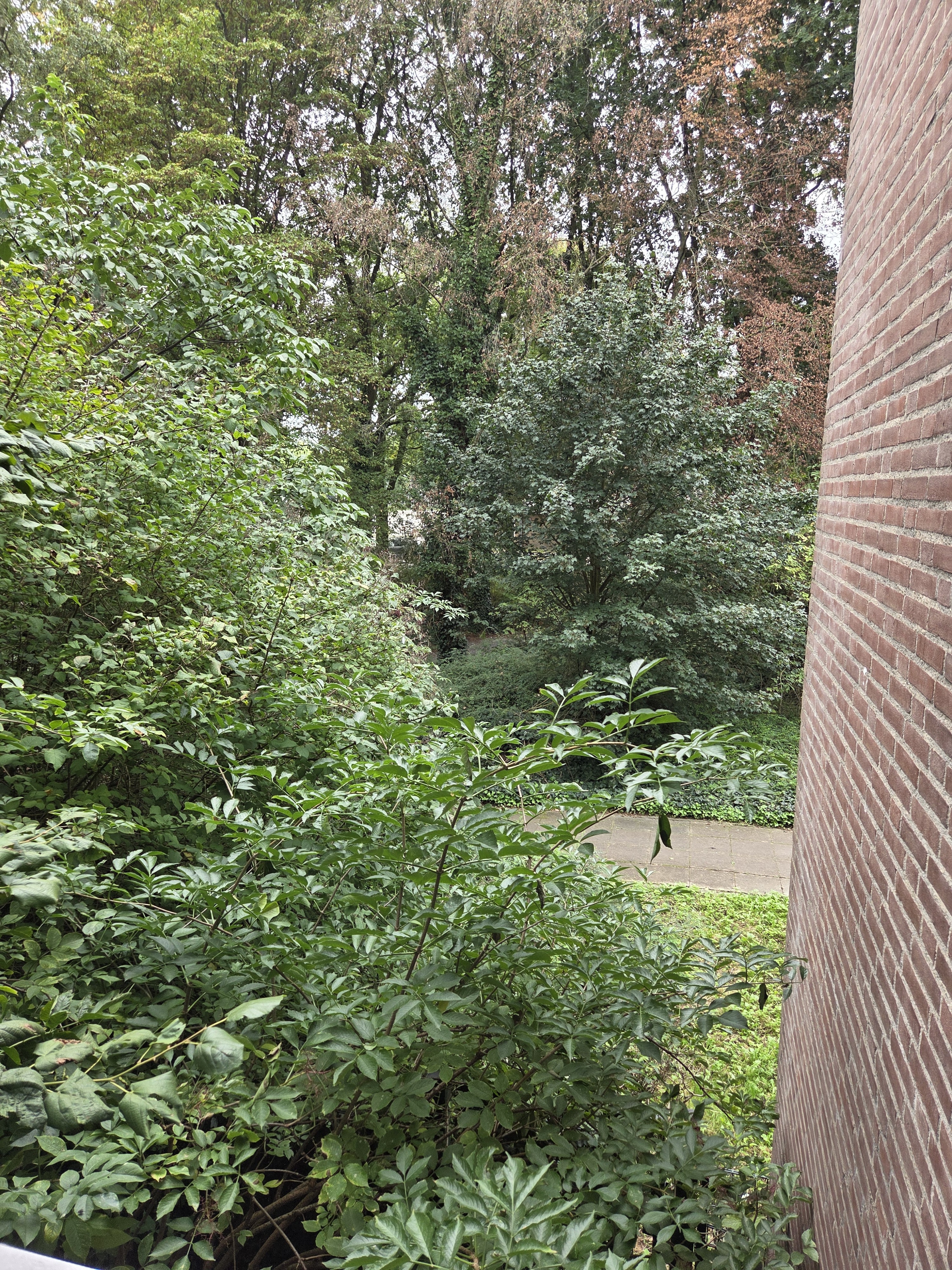 Vendelierhof 43