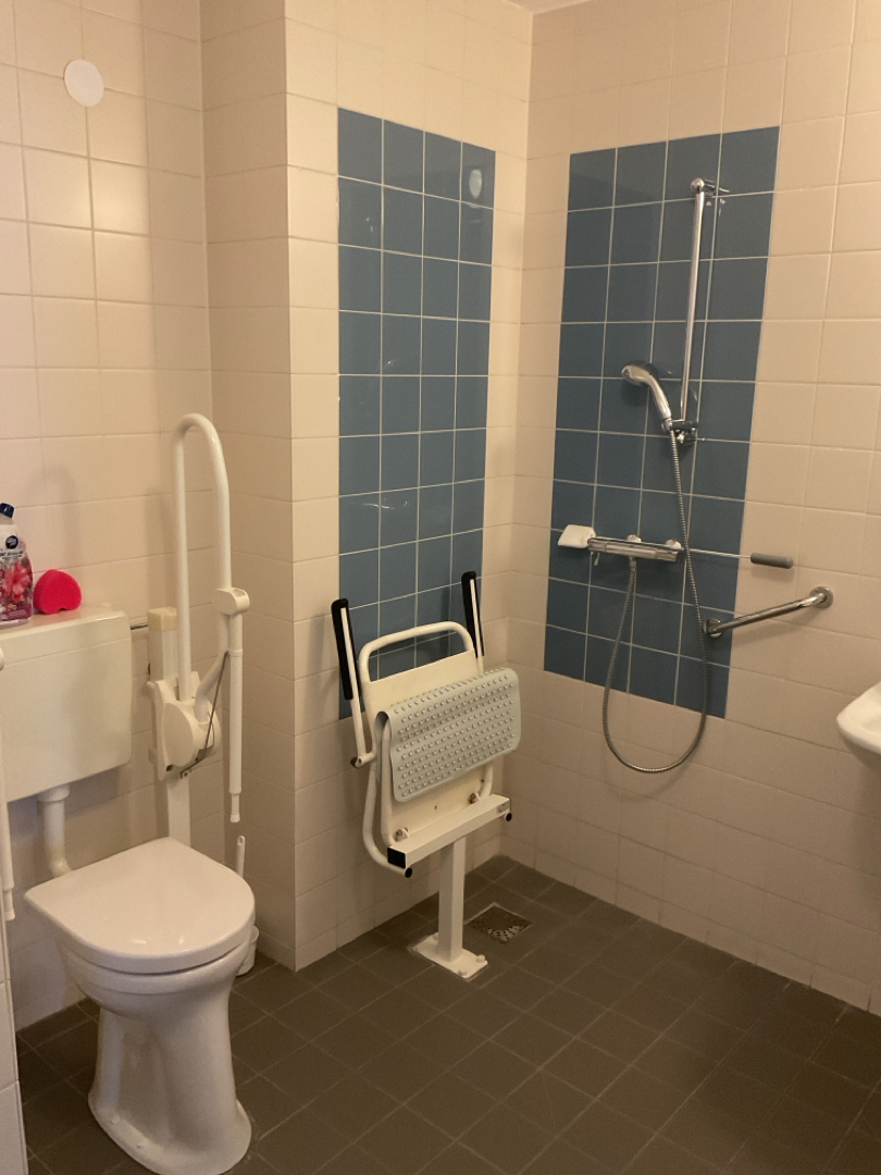 Goudvink 38
