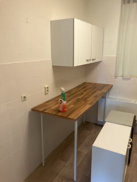 Goudsbloem 51
