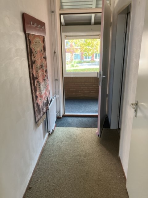 Goudsbloem 51