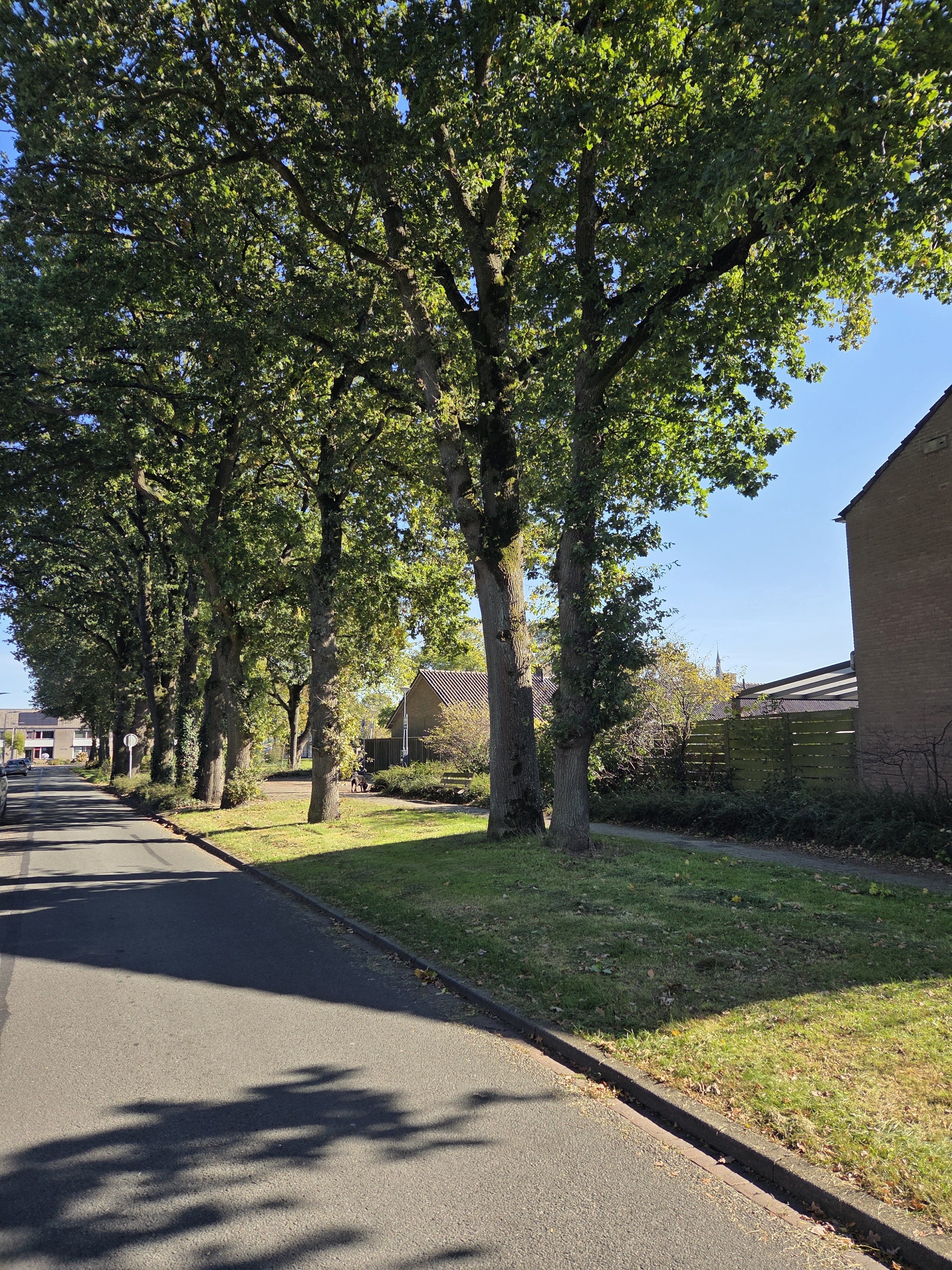 Vreedestraat 26