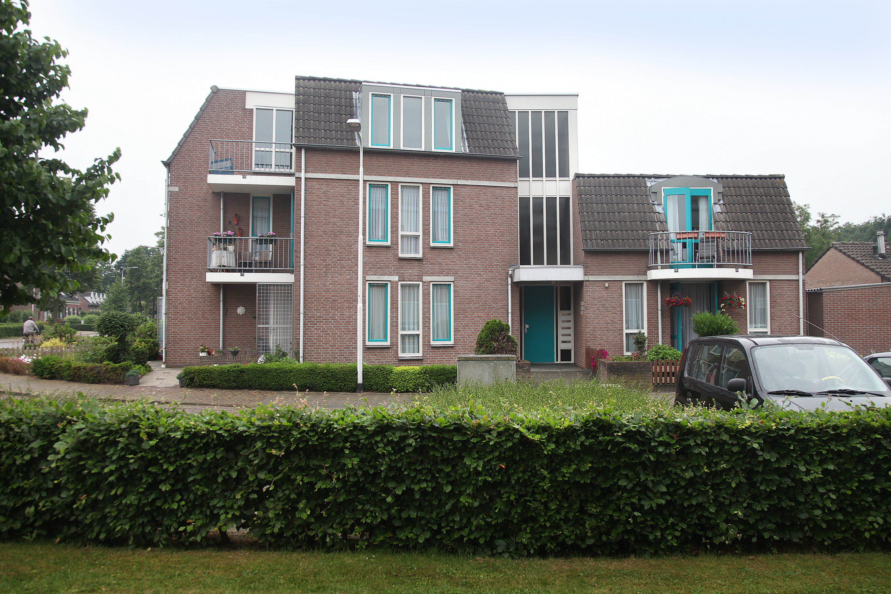 Korenbloem 1