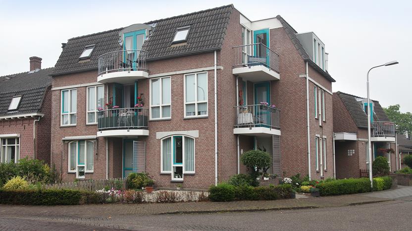 Korenbloem 1